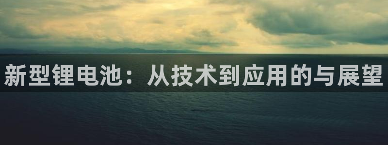 k豆支付钱包下载安装：新型锂电池：从技术到应用的与展望